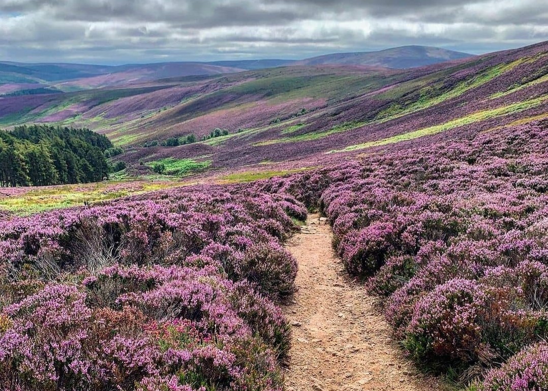 2020's Most-Liked Instagram Posts | VisitAberdeenshire