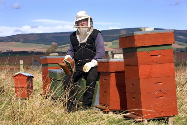 Beekeeper Laurencekirk low res5