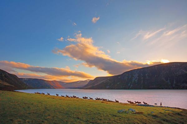 LOCH MUICK SCOTLAND IMG 8441 low res9