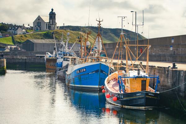 Macduff Harbour 13