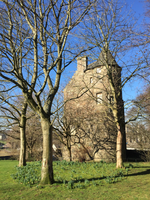 Wallace Tower Seaton Park